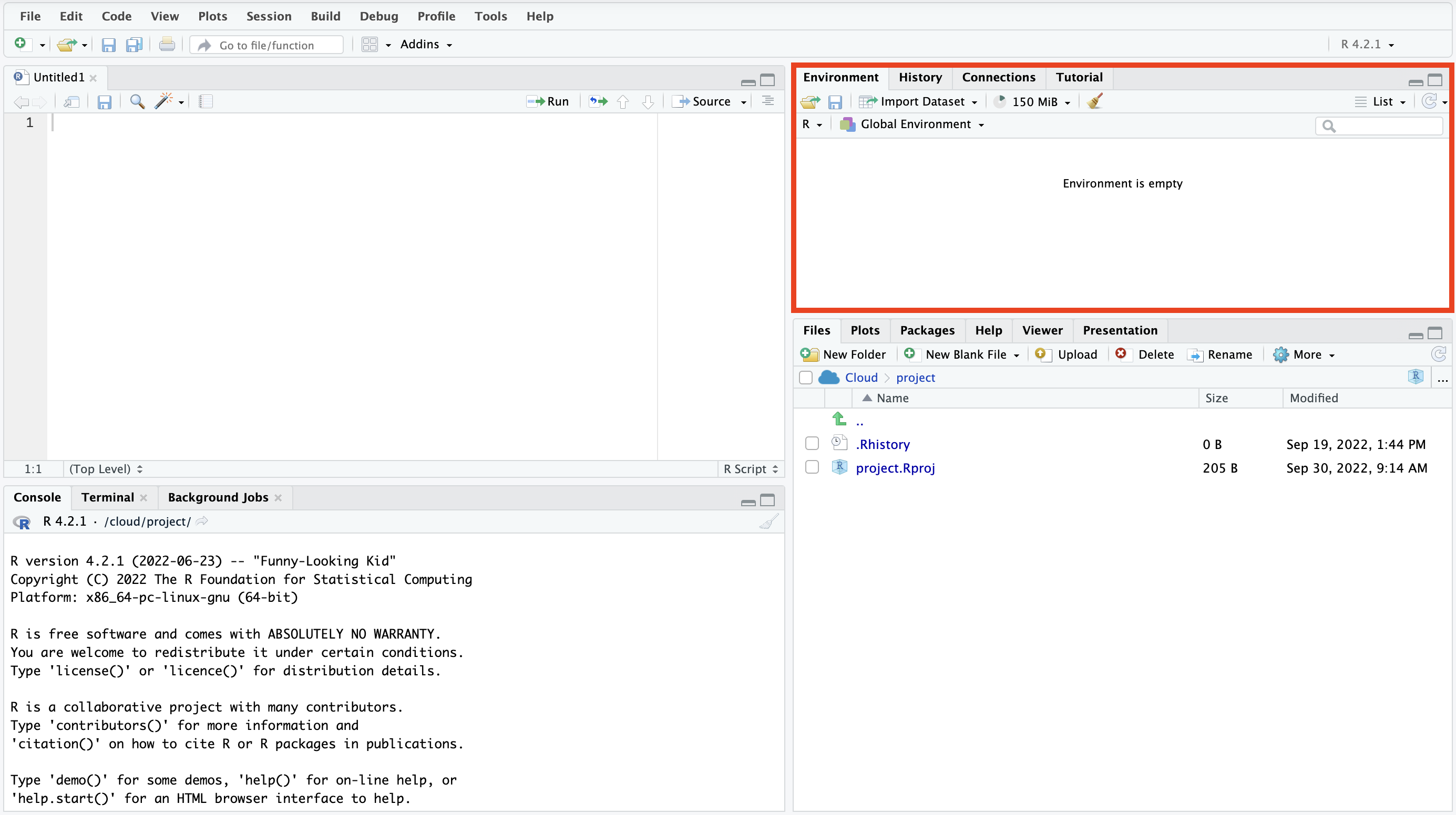 The RStudio interface with the environment pane highlighted in red