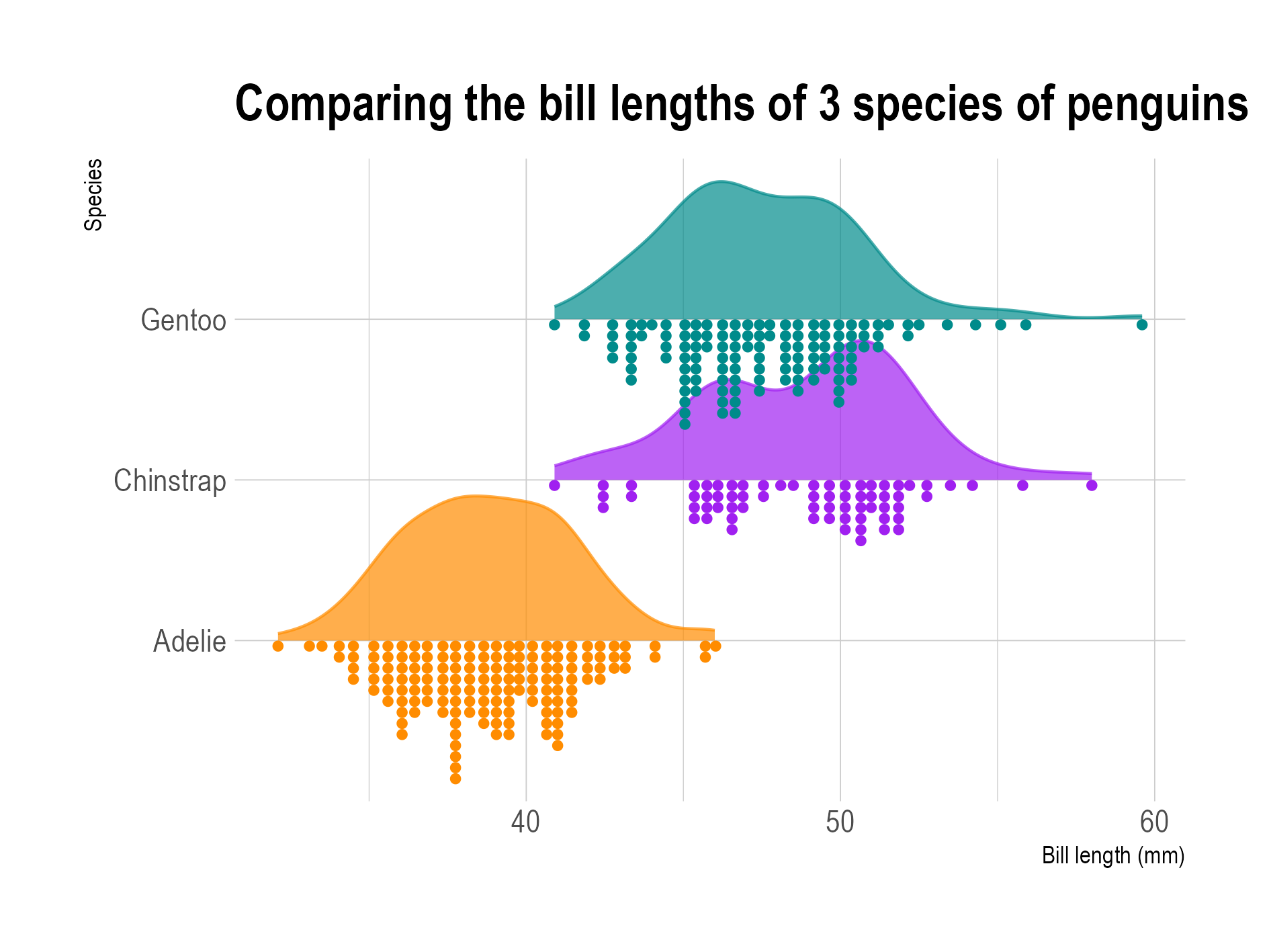 Three raincloud plots showing the distribution of the bill length of 3 species of penguins