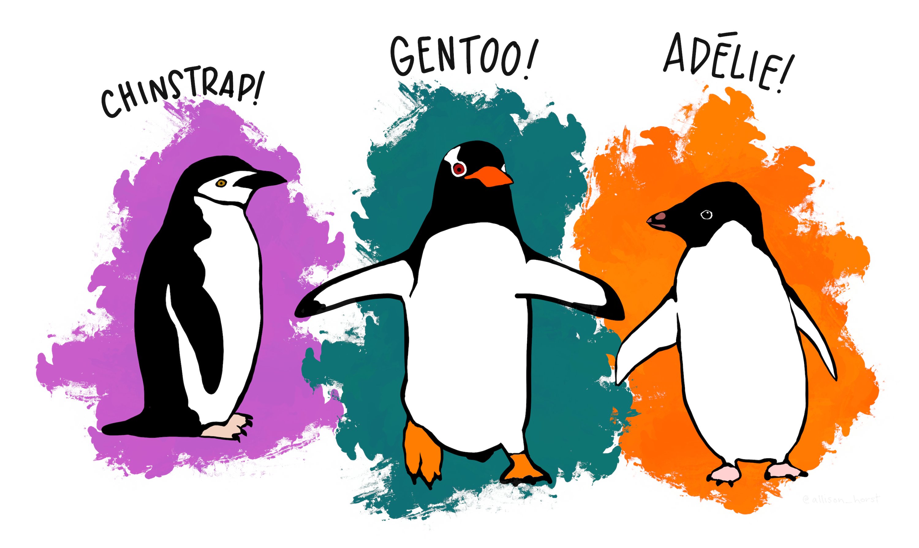 An illustration showing the Chinstrap, Gentoo and Adélie penguin species