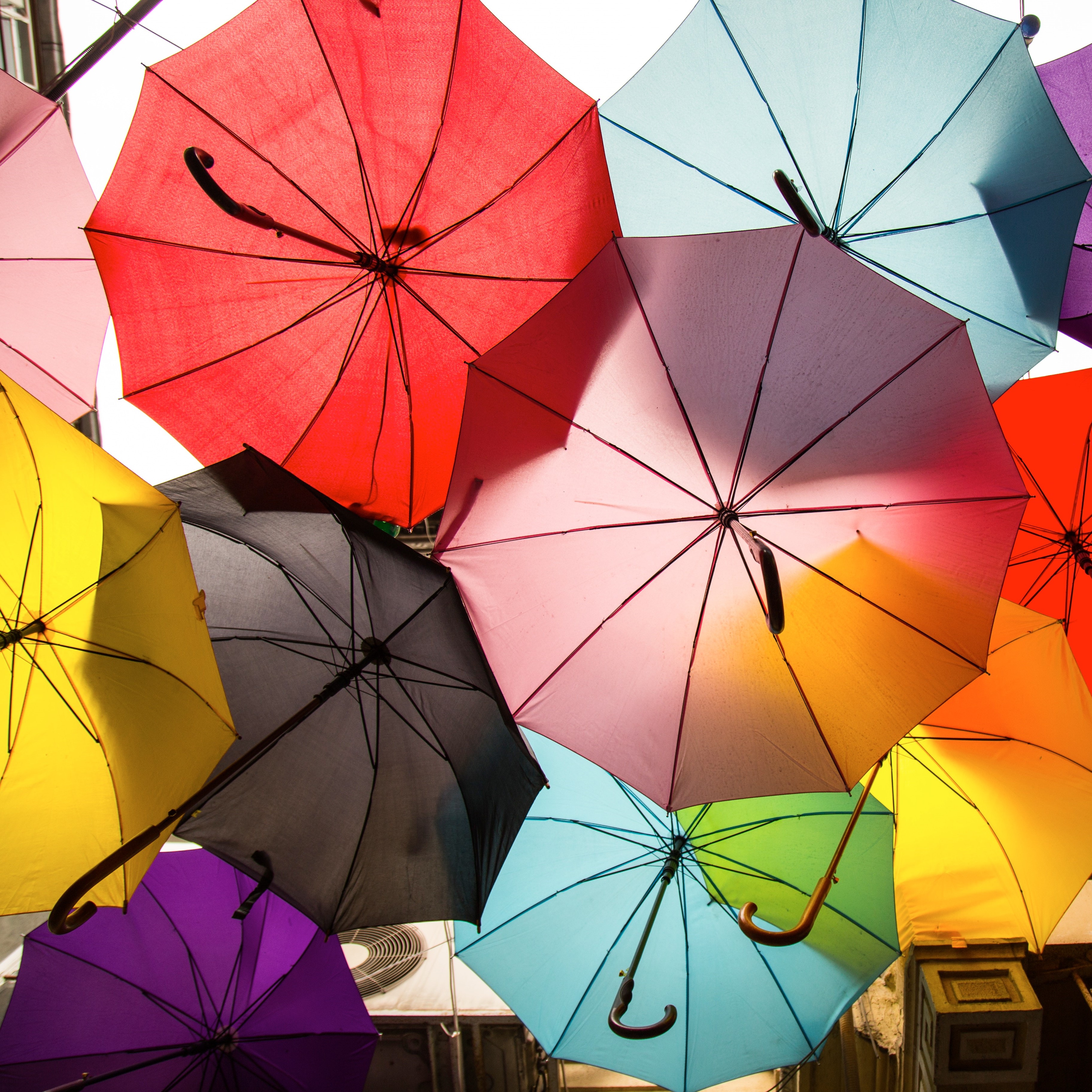 data protection and data governance
