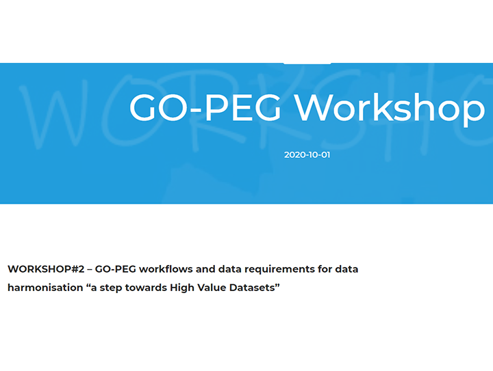 GO-PEG’s workshop on High Value Datasets