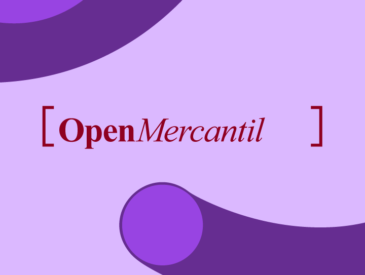 A Spanish example of public data reuse: The case of OpenMercantil