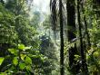 International Day for Biological Diversity and the role of open data
