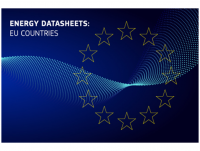 The energy statistical country datasheets have been updated!