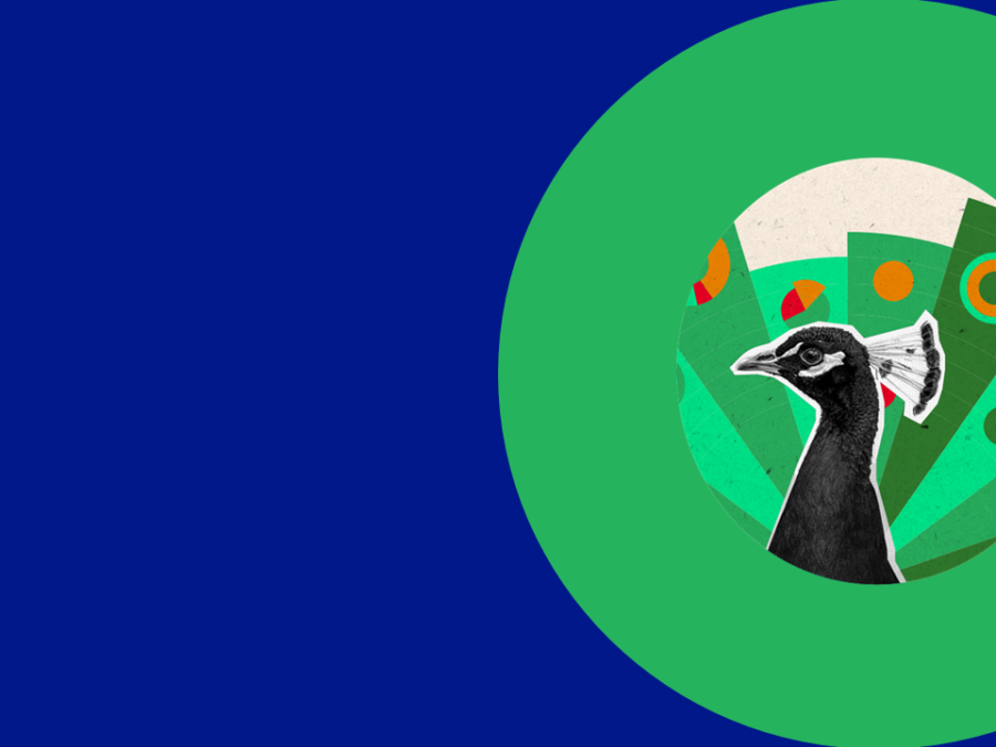 Discovering the power of data visualisation: A recap of our October webinar series 