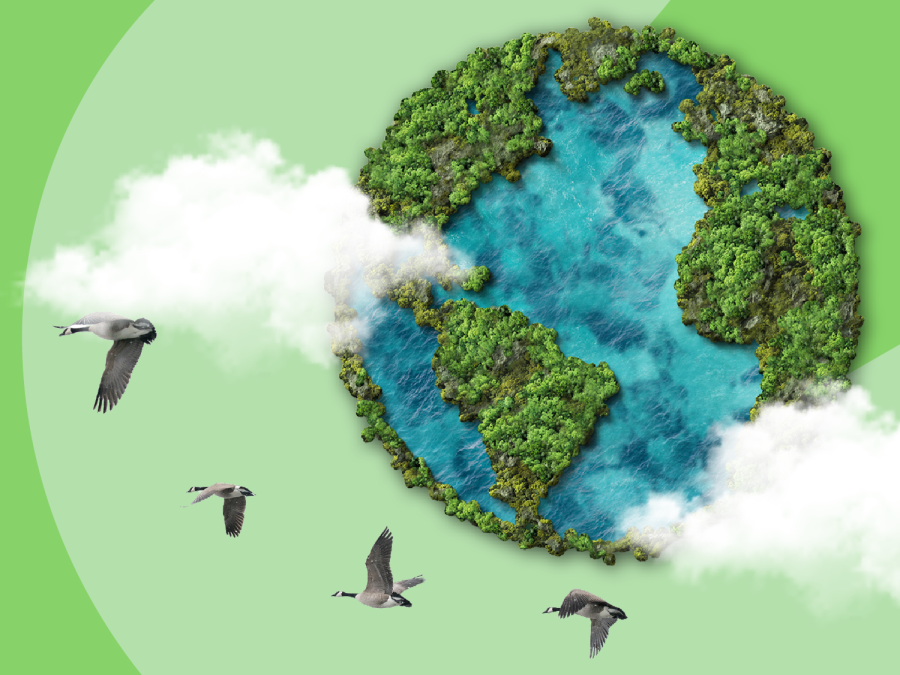 Listening to the planet: World Environment Day 2026